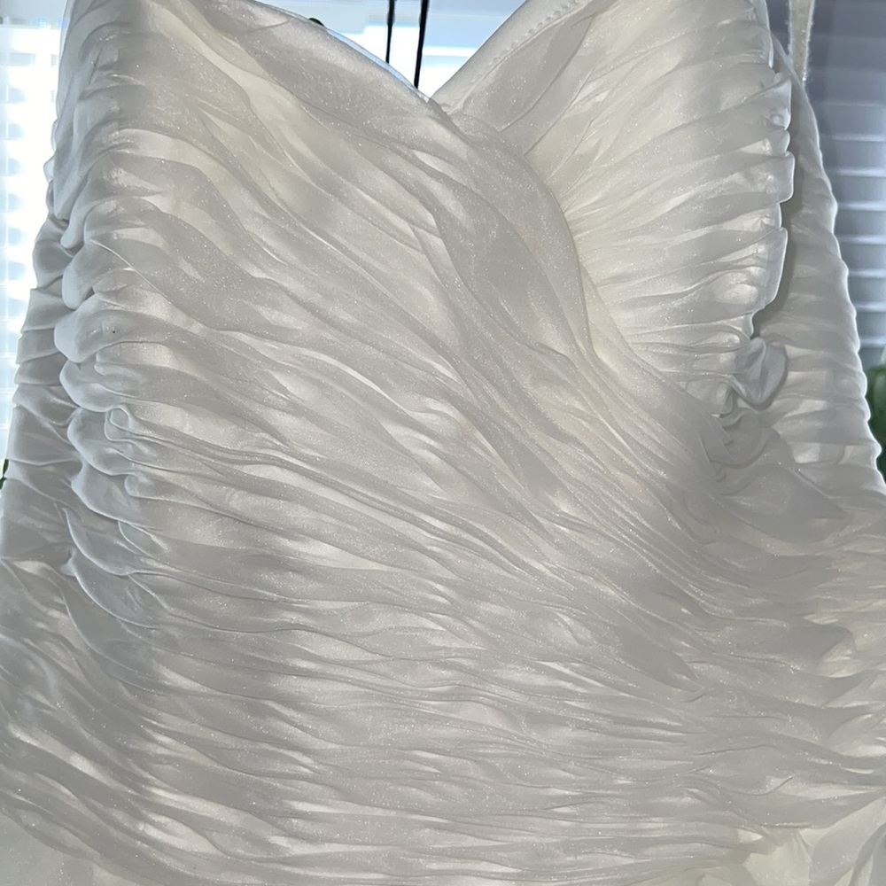 Wedding Dress - Picture 12 of 15